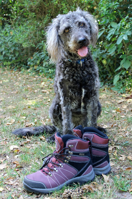 walking-boots-and-dog