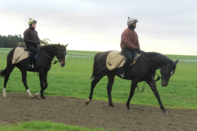 Newmarket-horseracing