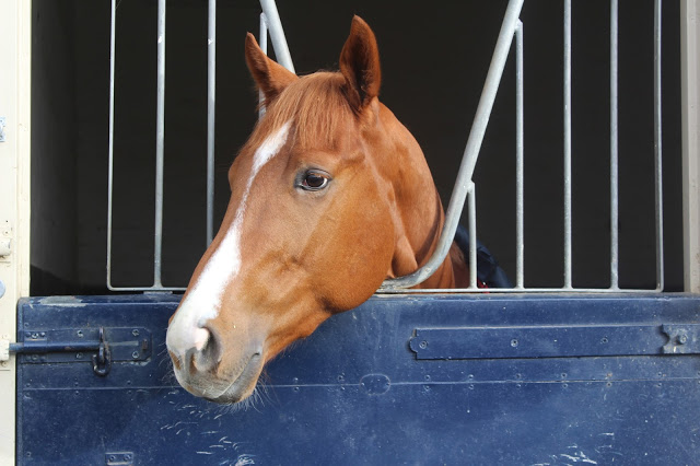 newmarket-tourism