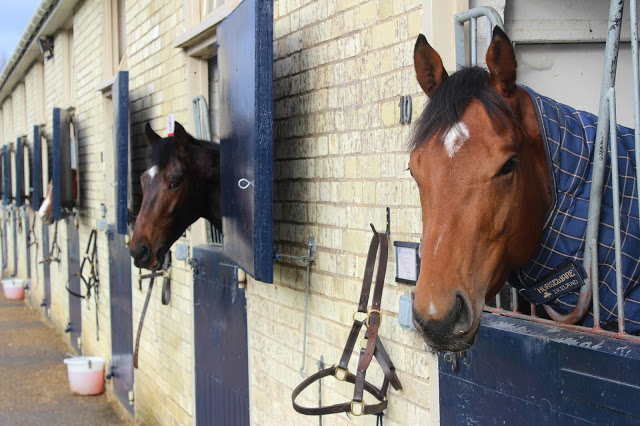 horseracing-newmarket