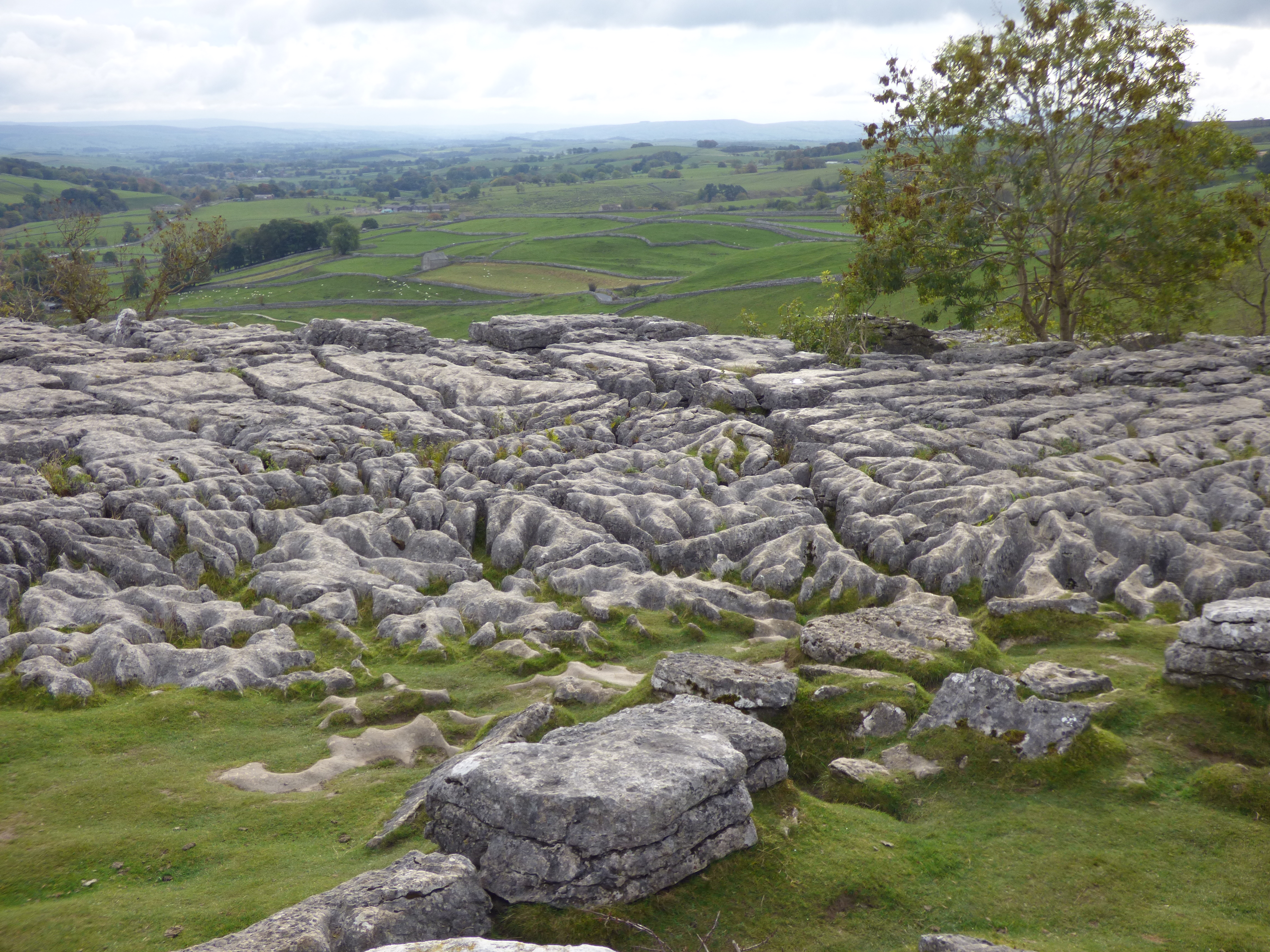 Limestone-Pavements