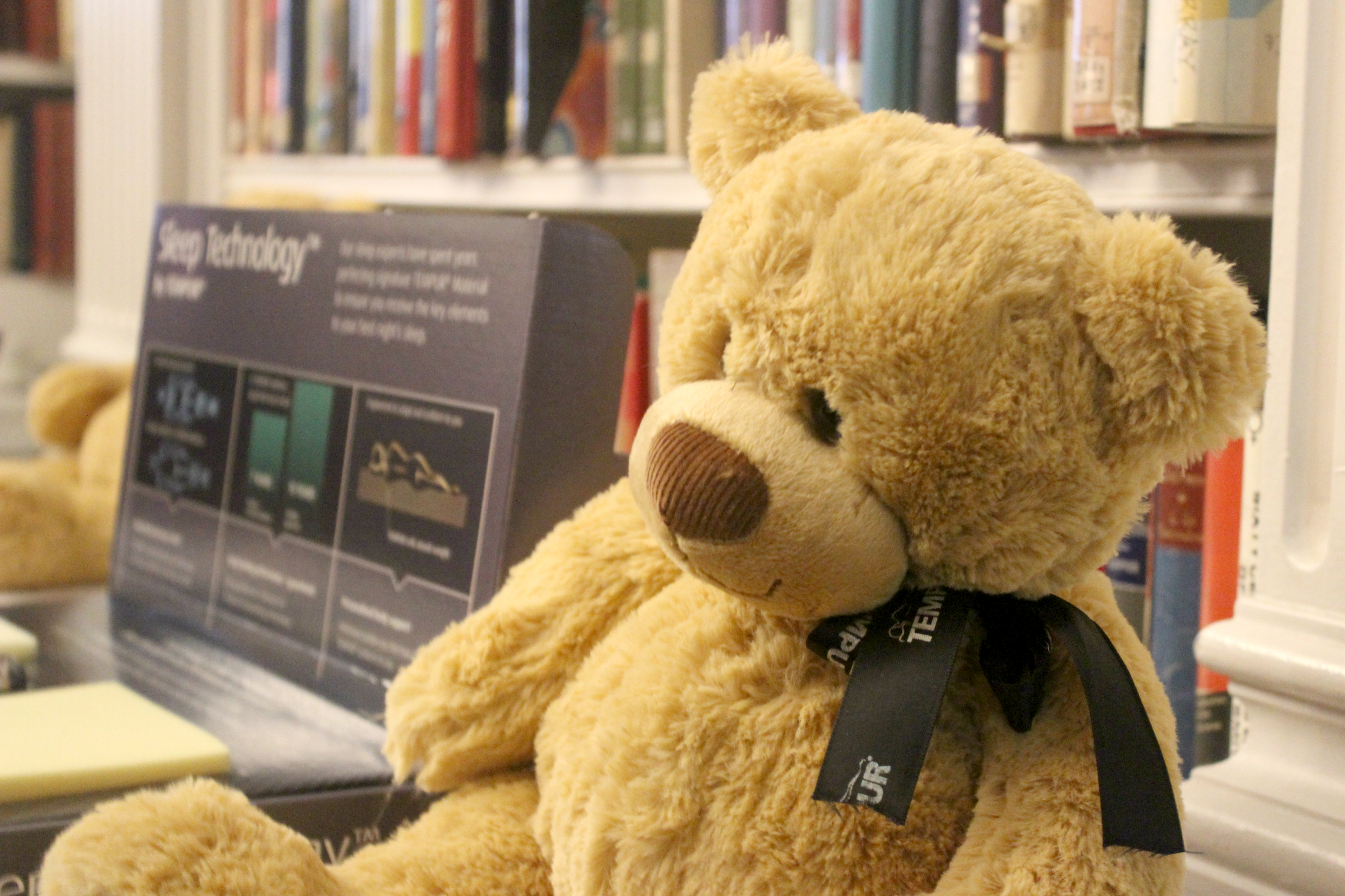 Teddy-Bear-Tempur