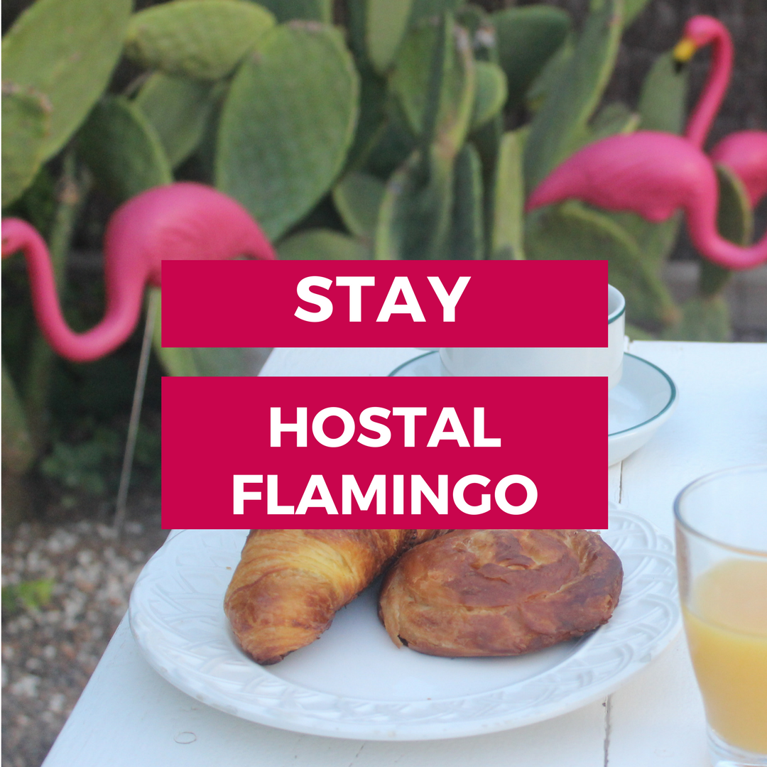 Stay-Hostal-Flamingo-Ibiza
