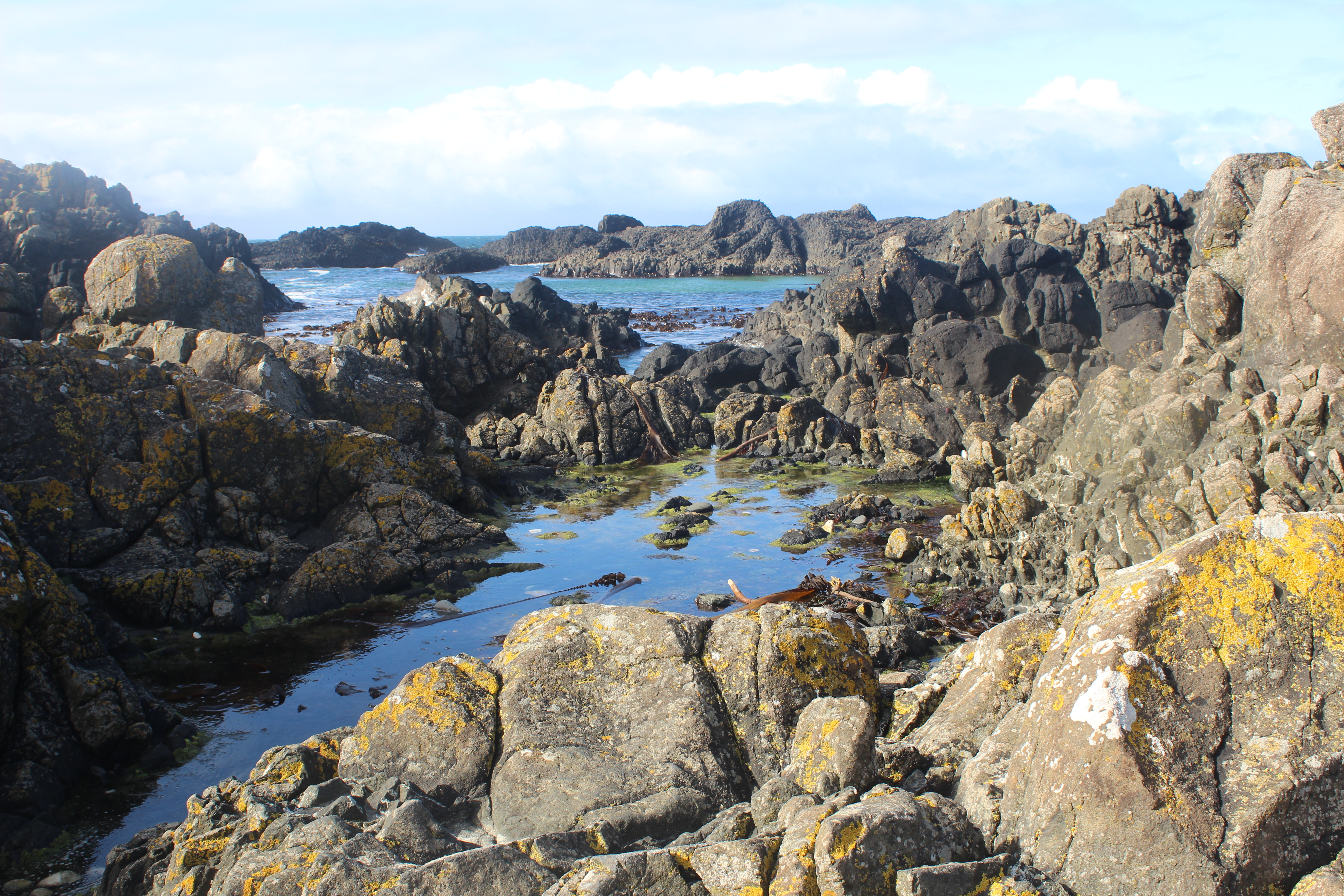 Ballintoy-Harbour-Northern-Ireland