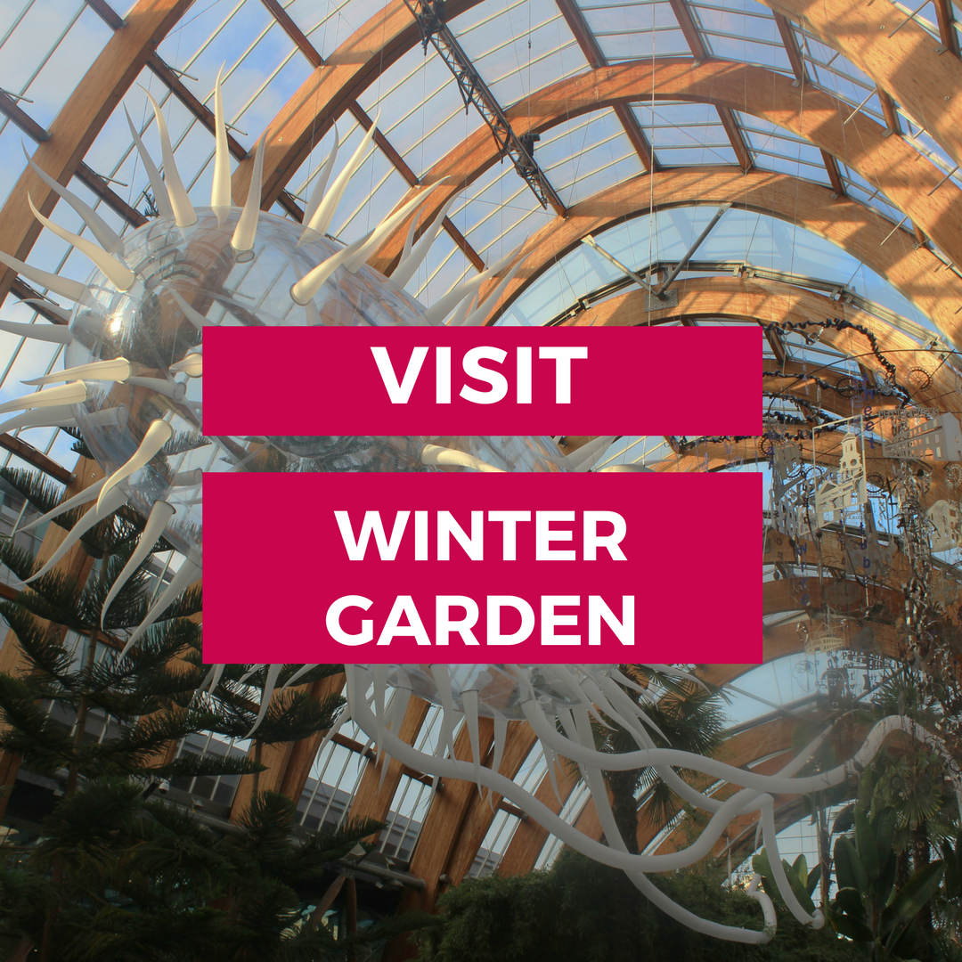 Winter-Garden-Sheffield