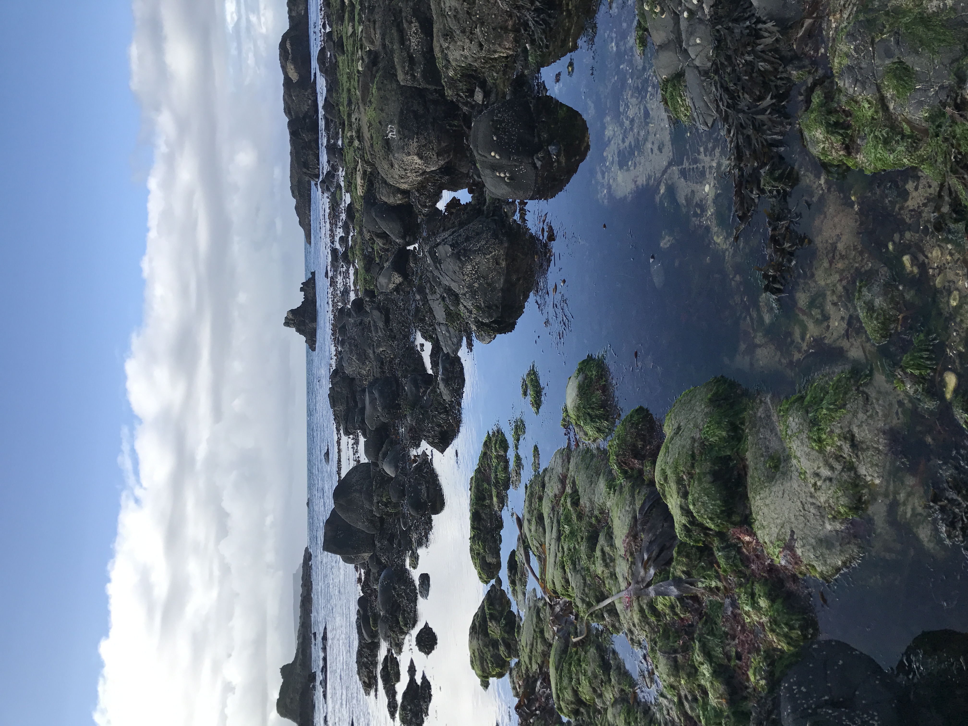 Ballintoy-Harbour-Northern-Ireland