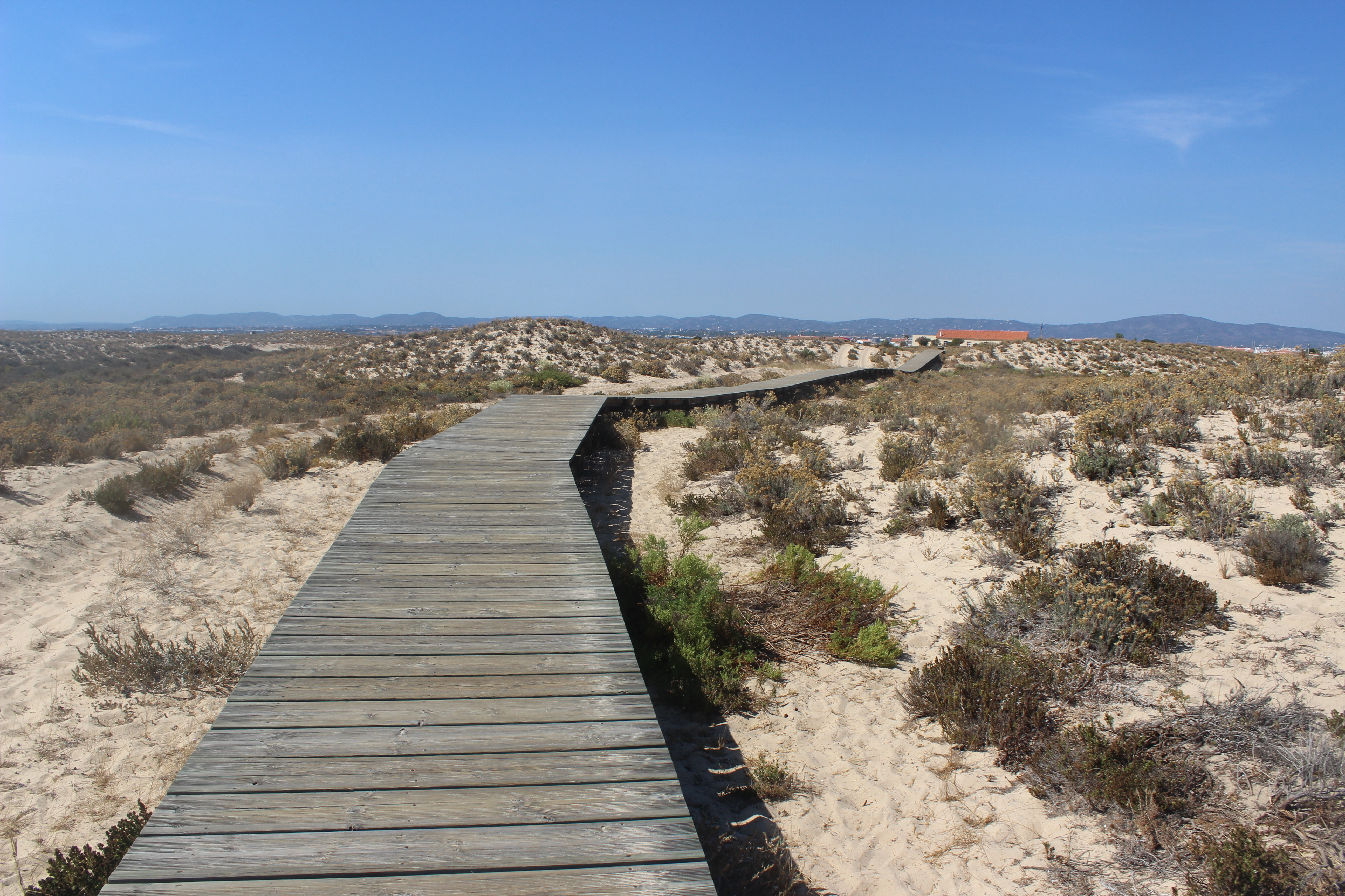 Ilha-Culatra-Faro-Portugal