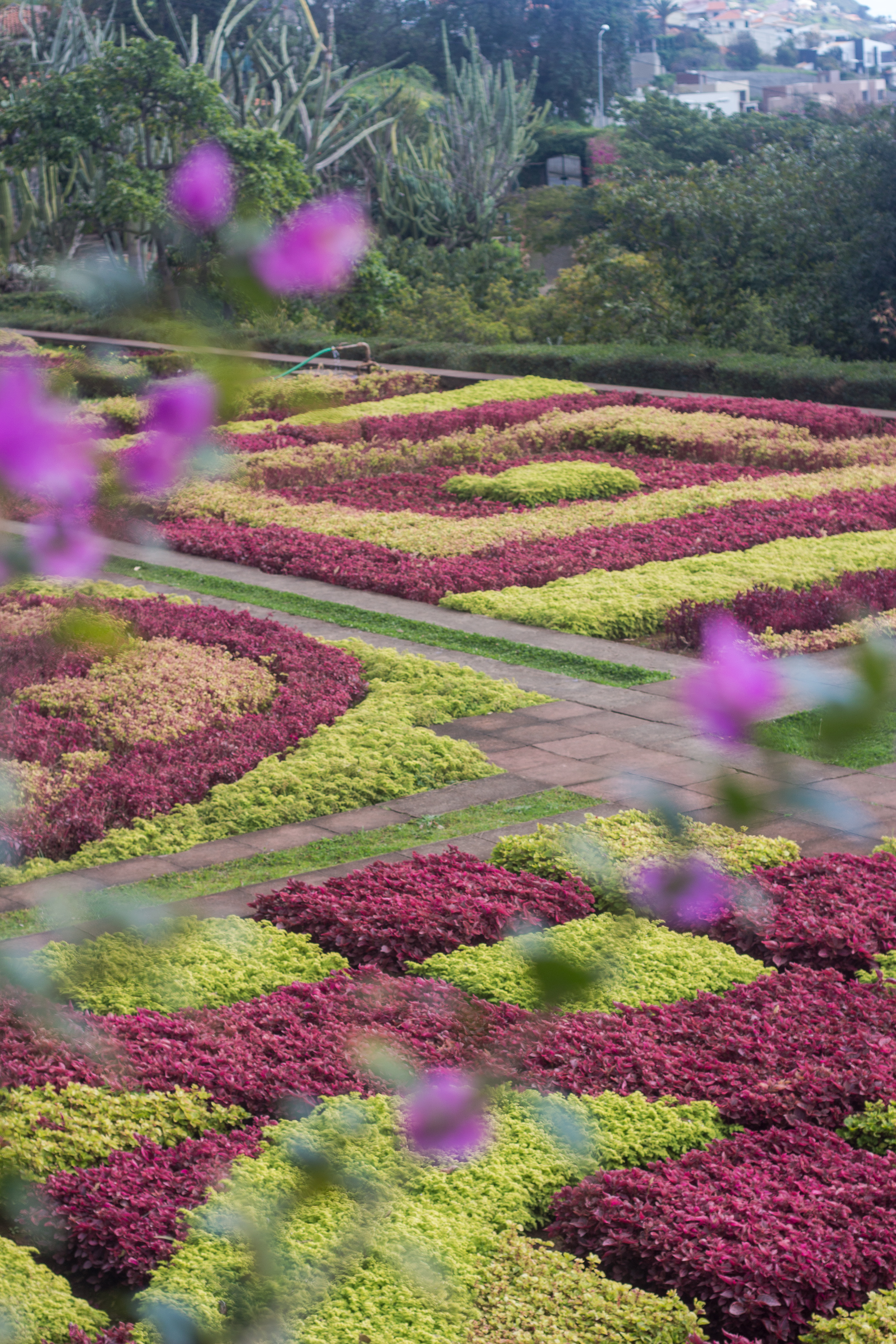 Botanic-Gardens-Madeira