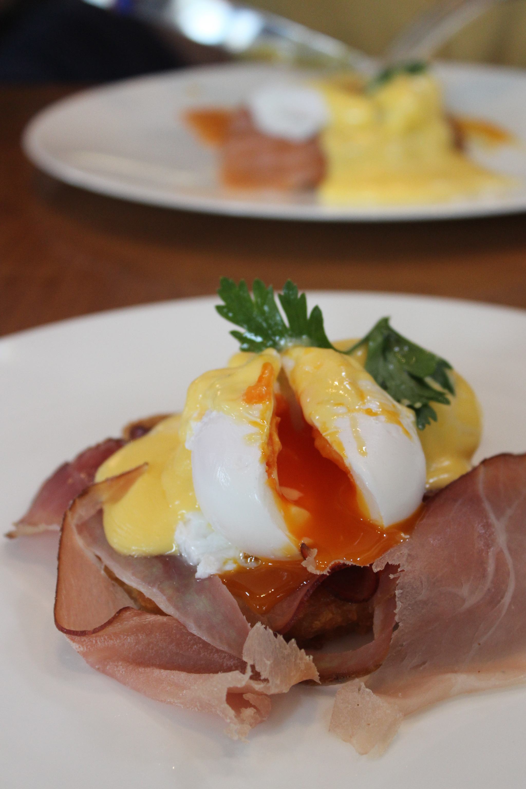 German-Gymnasium-Brunch