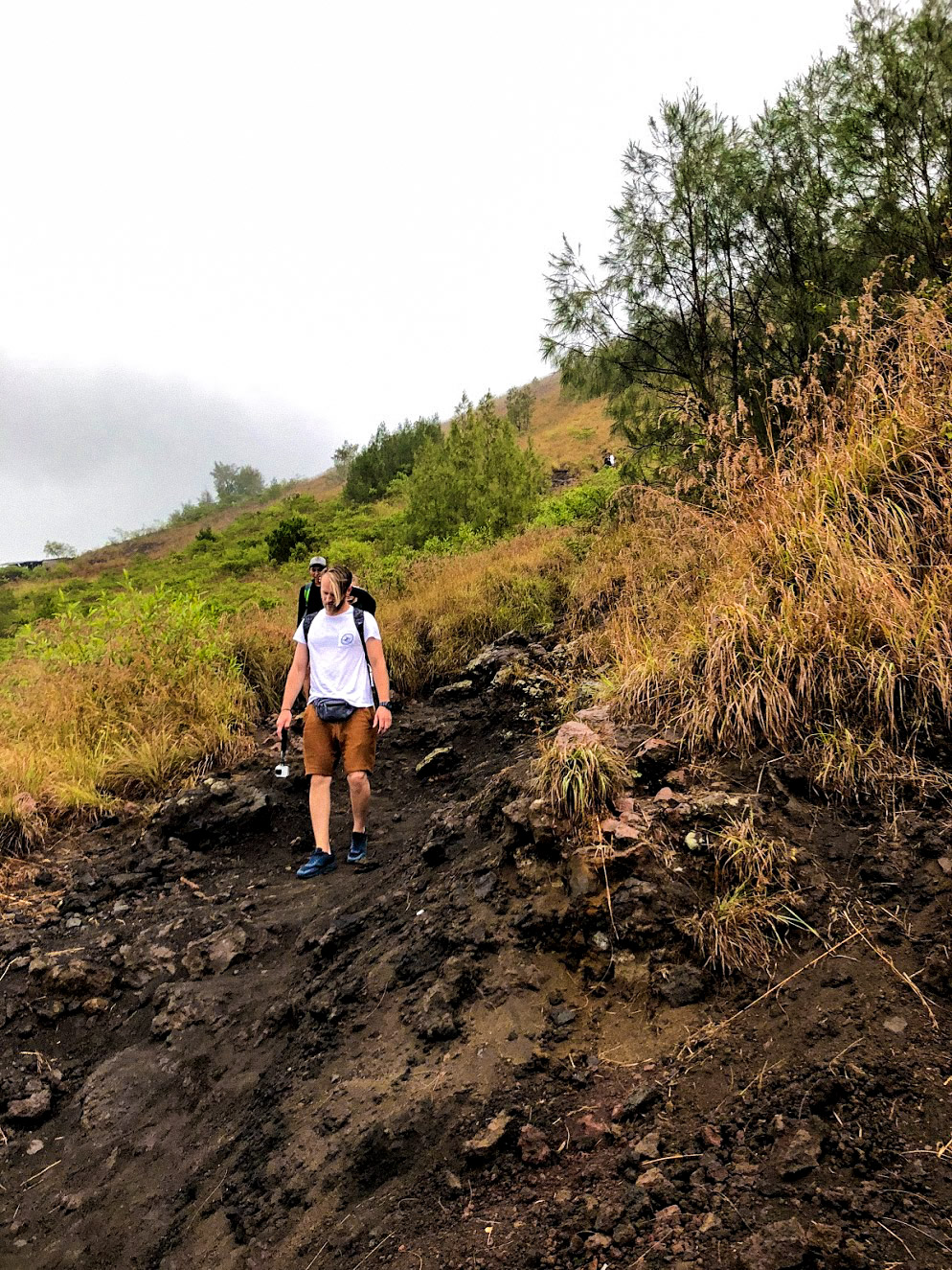 Monkeys-Mount-Batur-Bali