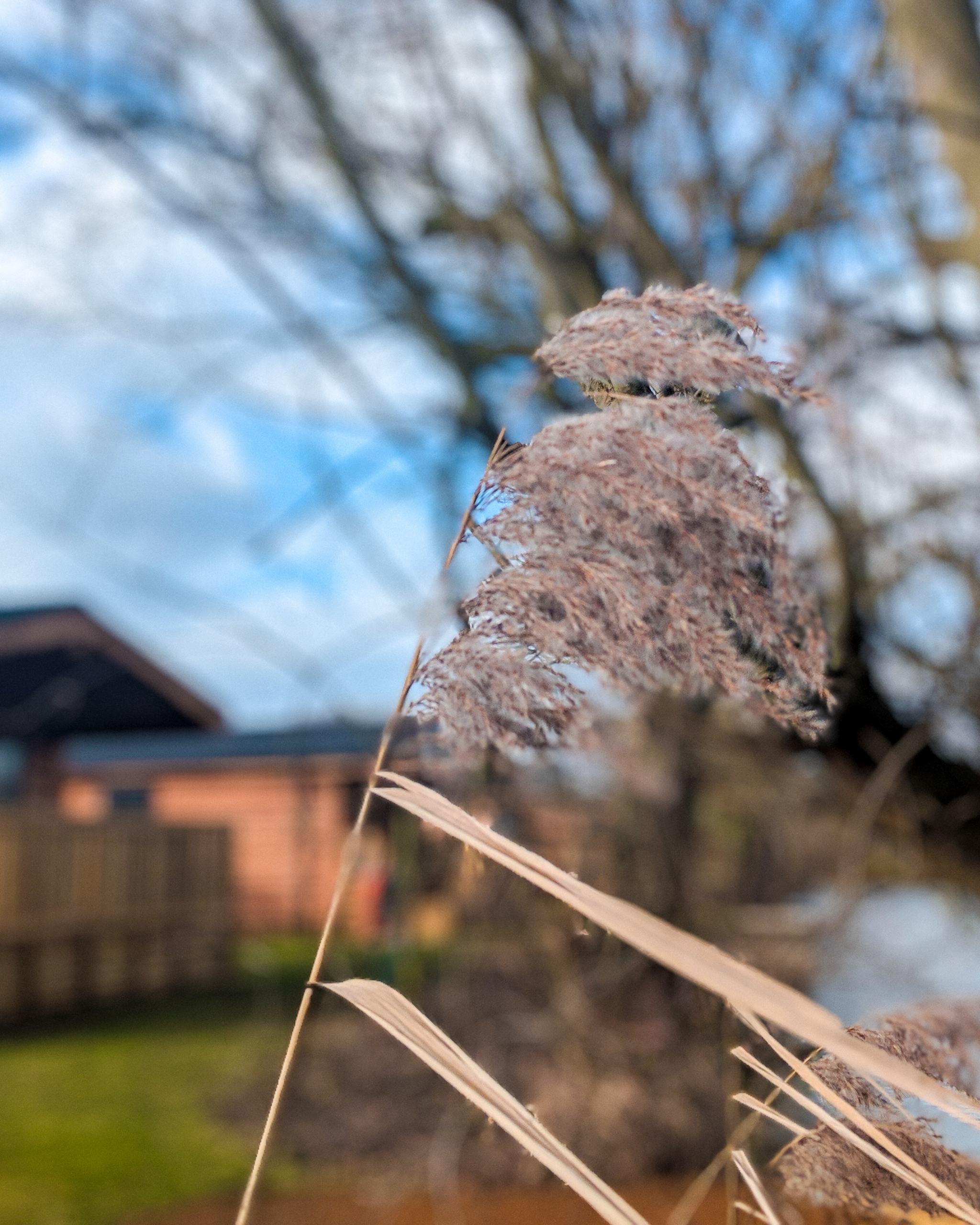 woodlakes-park-fishing-lakes