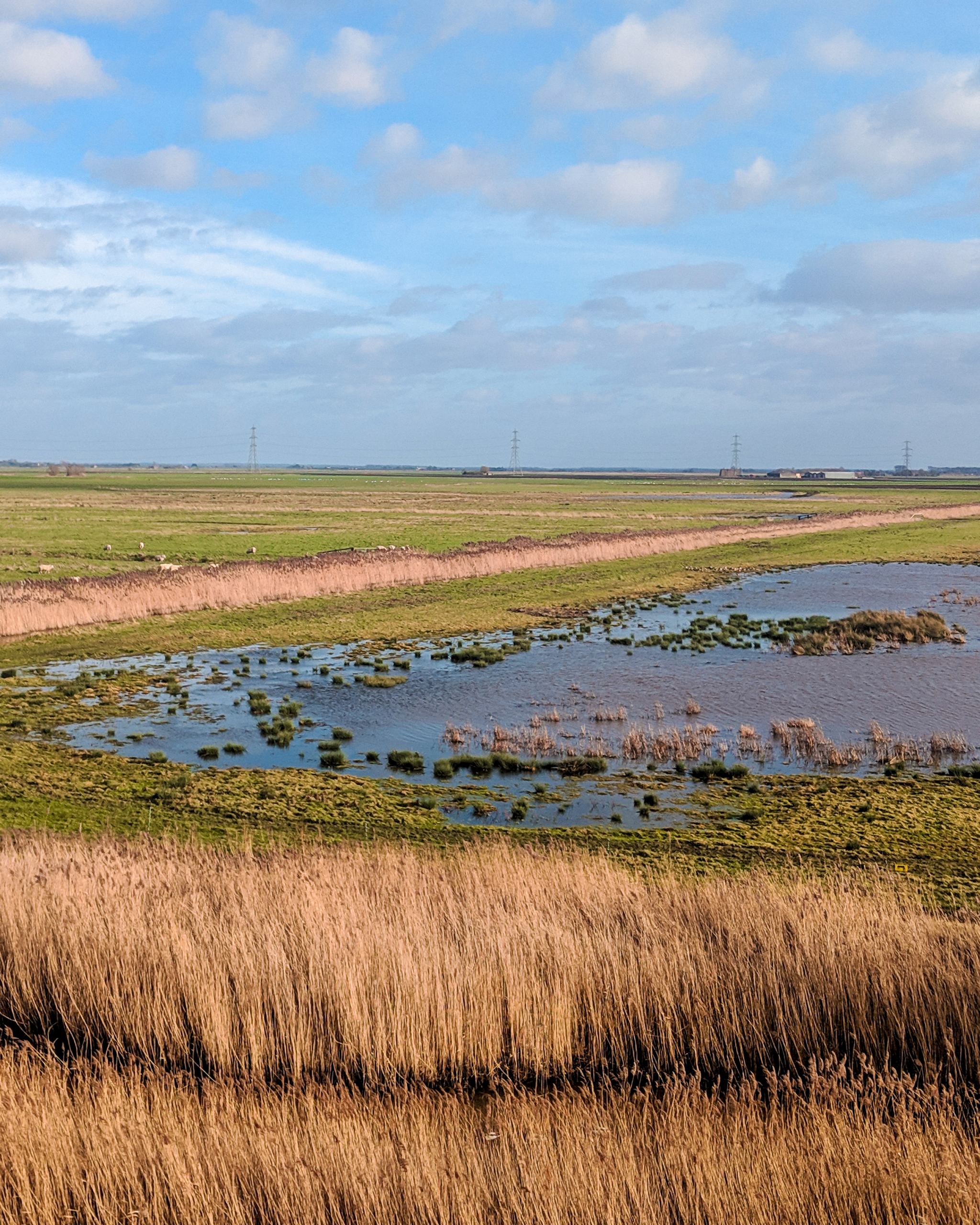 welney-wetland-centre