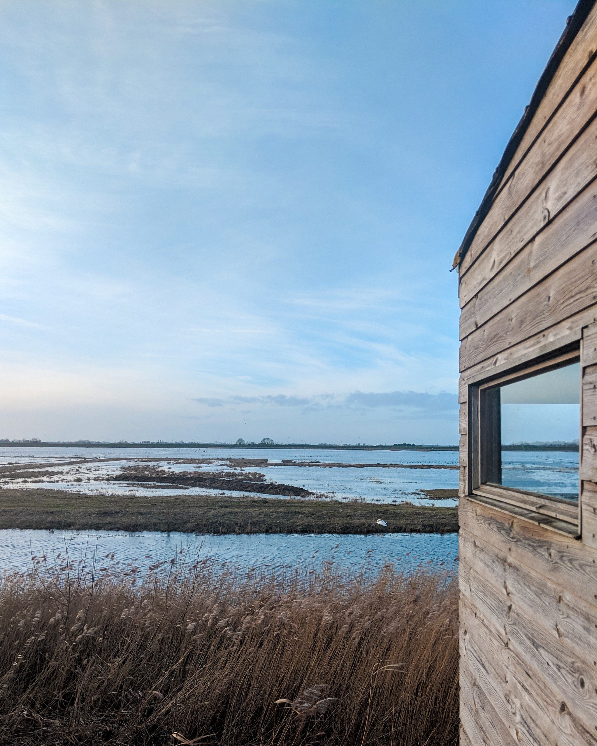 welney-wetland-centre