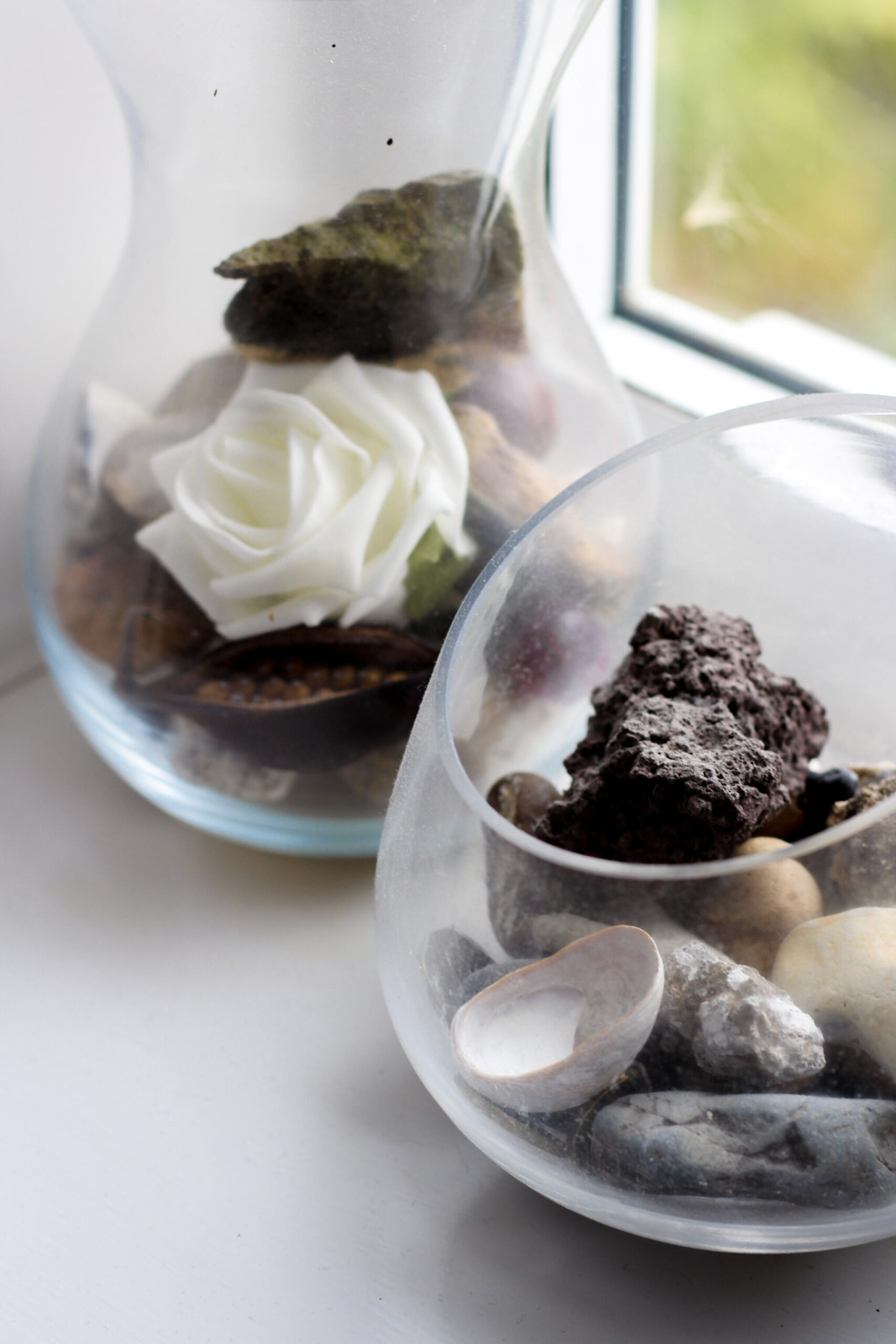 Collection of rocks and shells in two glass vases