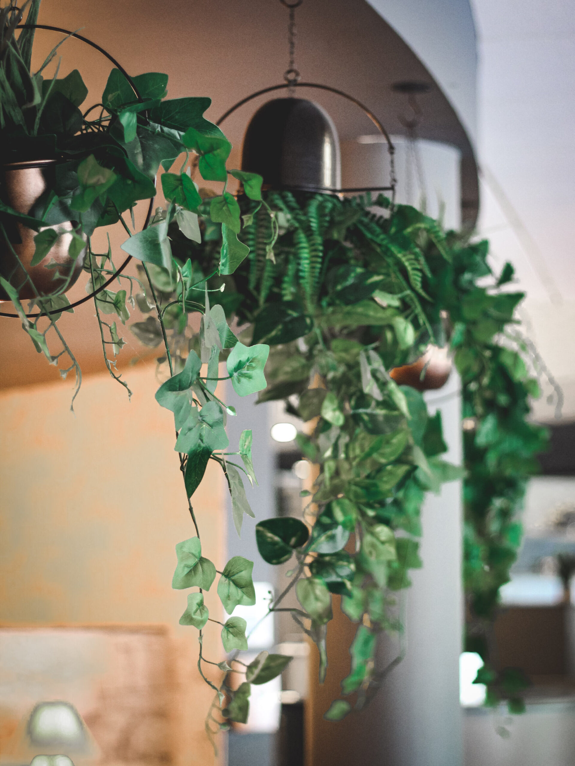 Hanging plant in foyer of Novotel Milton Keynes